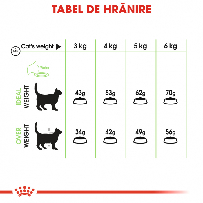 Royal Canin Digestive Care Adult, hrană uscată pisici, confort digestiv, 10 kg [5]