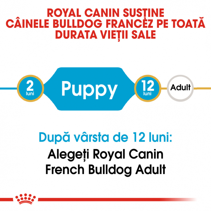 ROYAL CANIN FRENCH BULLDOG PUPPY 3 kg [2]