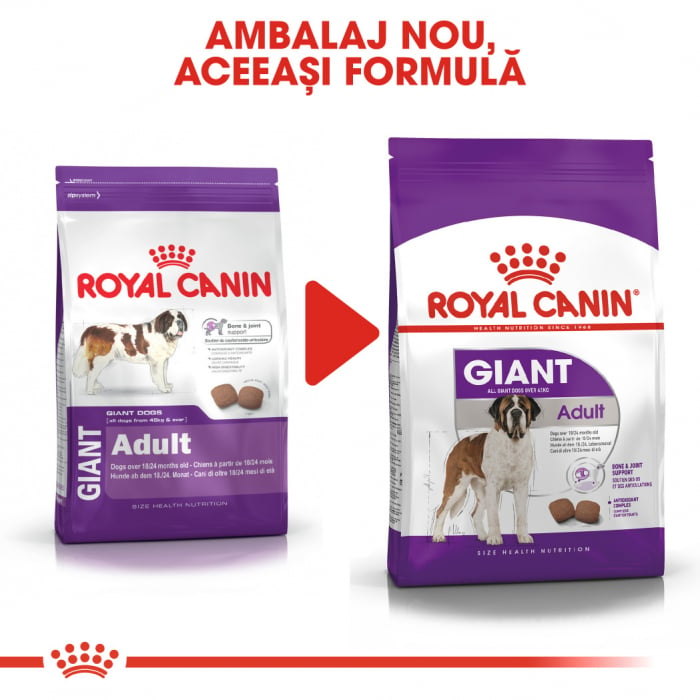 Royal Canin Giant Adult, hrană uscată câini,  15 kg [6]