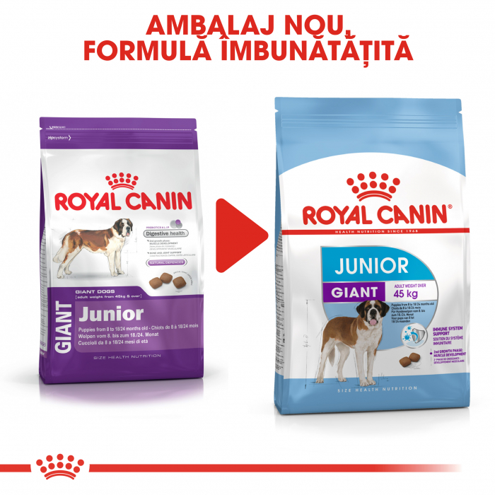 Royal Canin Giant Junior, hrană uscată câini junior, etapa 2 de creștere, 15 kg [5]