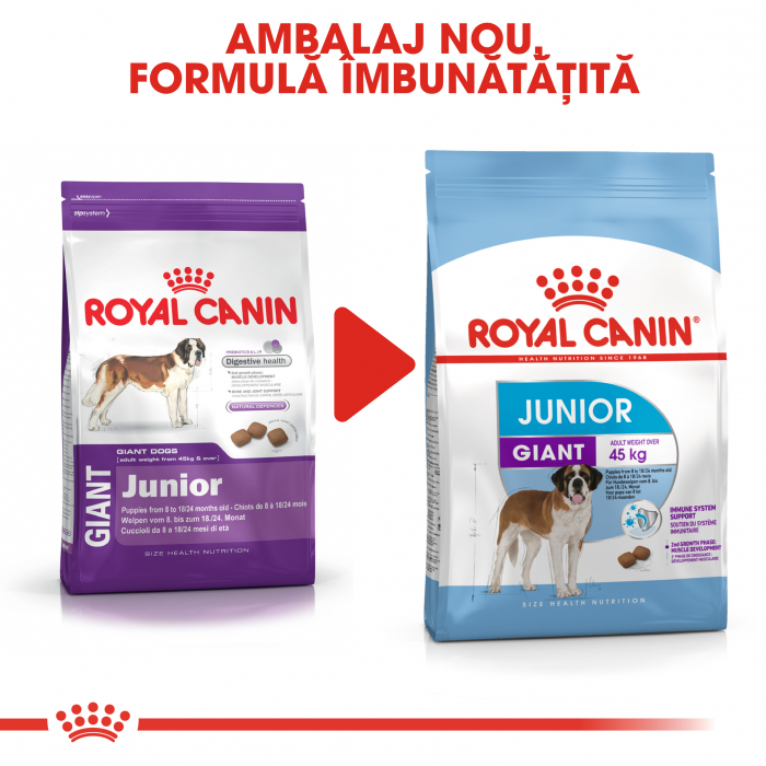 Royal Canin Giant Junior, hrană uscată câini junior, etapa 2 de creștere, 3.5 kg [5]