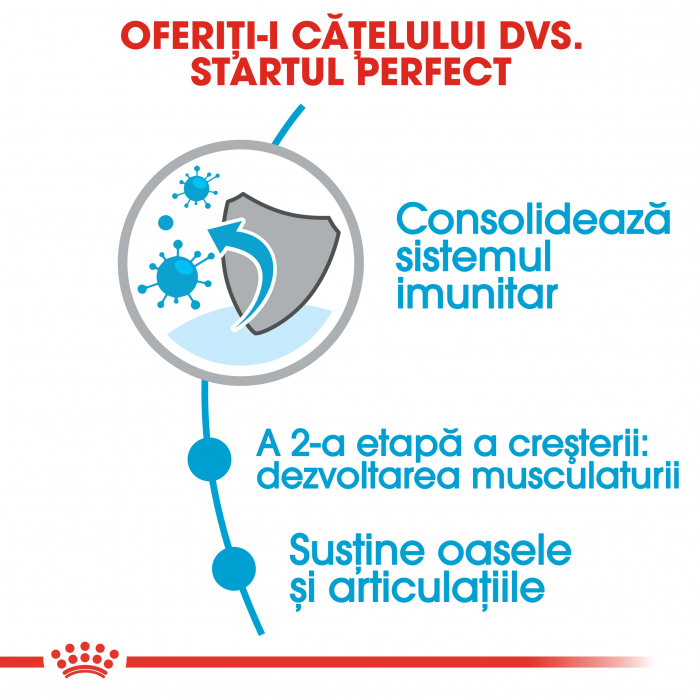 Royal Canin Giant Junior, hrană uscată câini junior, etapa 2 de creștere, 3.5 kg [4]