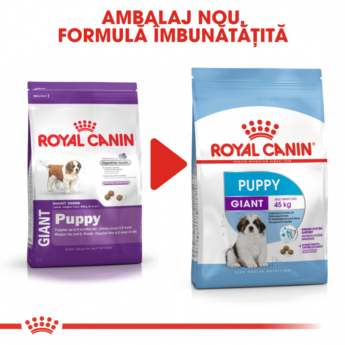 Royal Canin Giant Puppy, hrană uscată câini junior, etapa 1 de creștere , 3.5 kg [5]