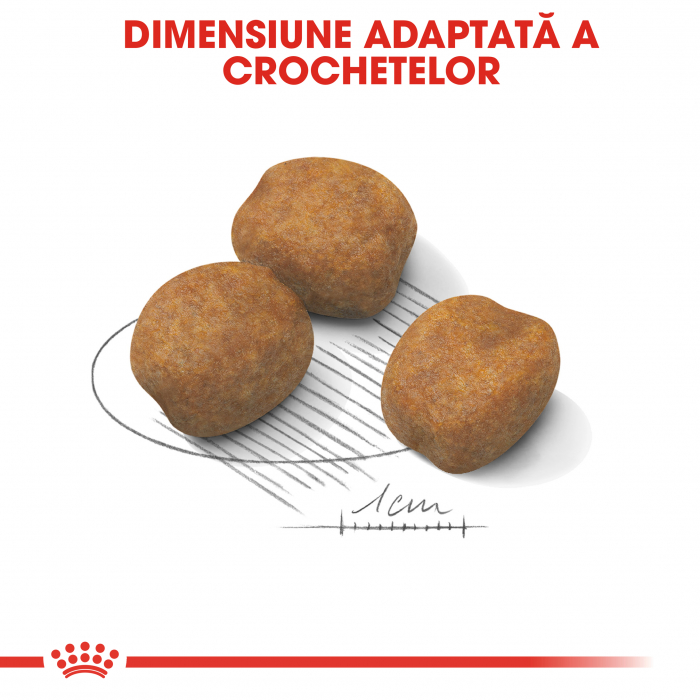 Royal Canin Giant Puppy, hrană uscată câini junior, etapa 1 de creștere , 3.5 kg [3]