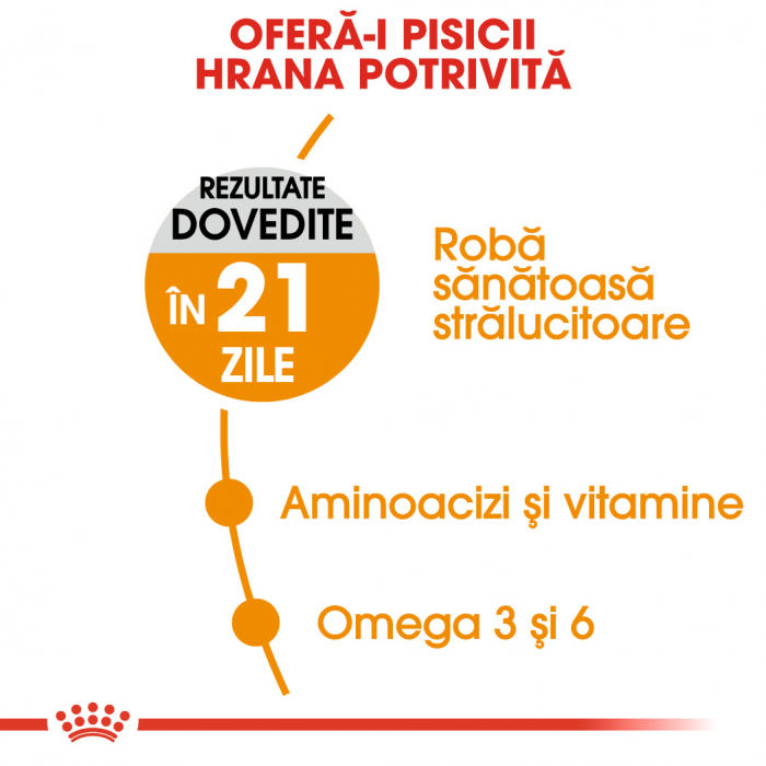 Royal Canin Hair & Skin Care Adult, hrană uscată pisici, piele și blană, 10 kg [4]