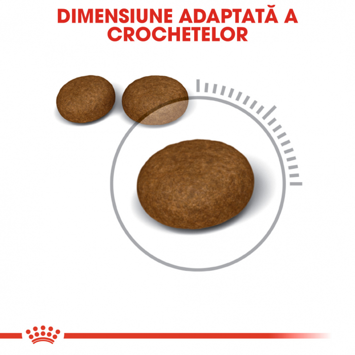 Royal Canin Hair & Skin Care Adult, hrană uscată pisici, piele și blană, 4 kg [3]
