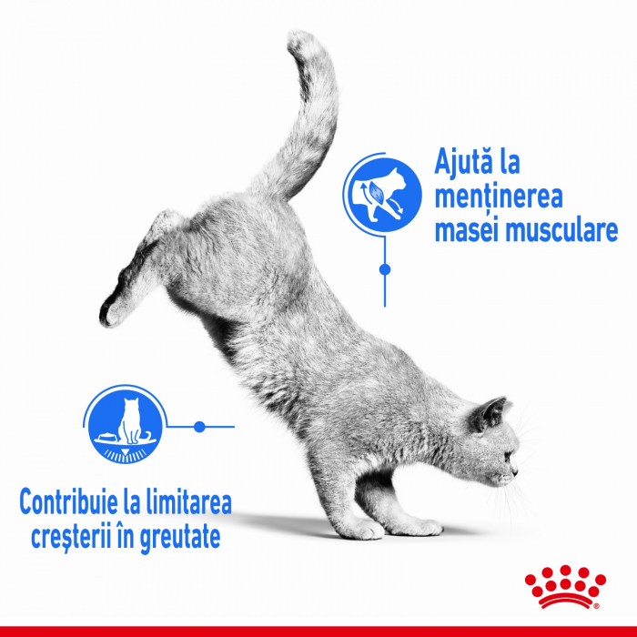 Royal Canin Light Weight Care Adult, plic hrană umedă pisici, managementul greutății, (în sos), 12 x 85G [6]