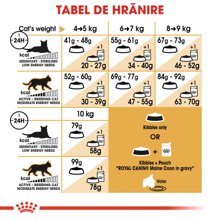 Royal Canin Maine Coon Adult, hrană uscată pisici, 10 kg [5]