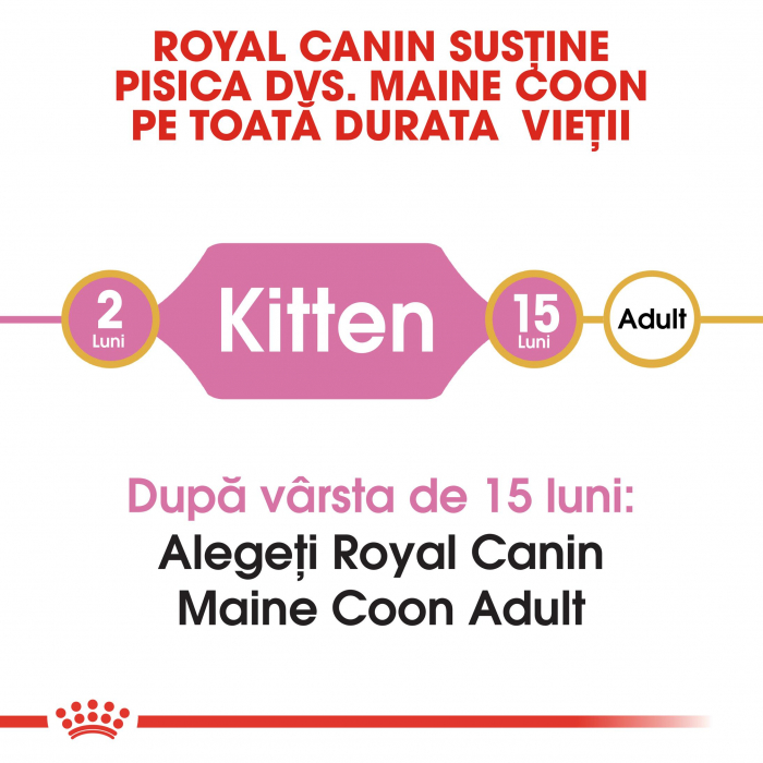 Royal Canin Maine Coon Kitten, hrană uscată pisici junior, 10 kg [2]