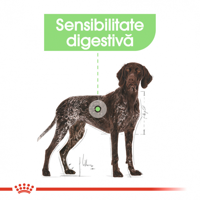 Royal Canin Maxi Digestive Care, hrană uscată câini, confort digestiv,  3Kg [3]