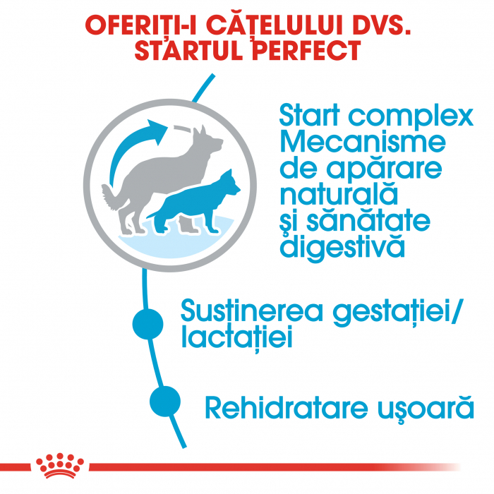 Royal Canin Maxi Starter Mother & BabyDog, mama și puiul, hrană uscată câini,  15 kg [4]