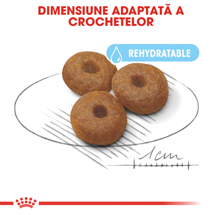 Royal Canin Maxi Starter Mother & BabyDog, mama și puiul, hrană uscată câini, 4 kg [3]