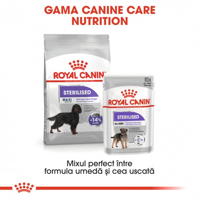 Royal Canin Maxi Sterilised Adult, hrană uscată câini sterilizați, 9KG [6]