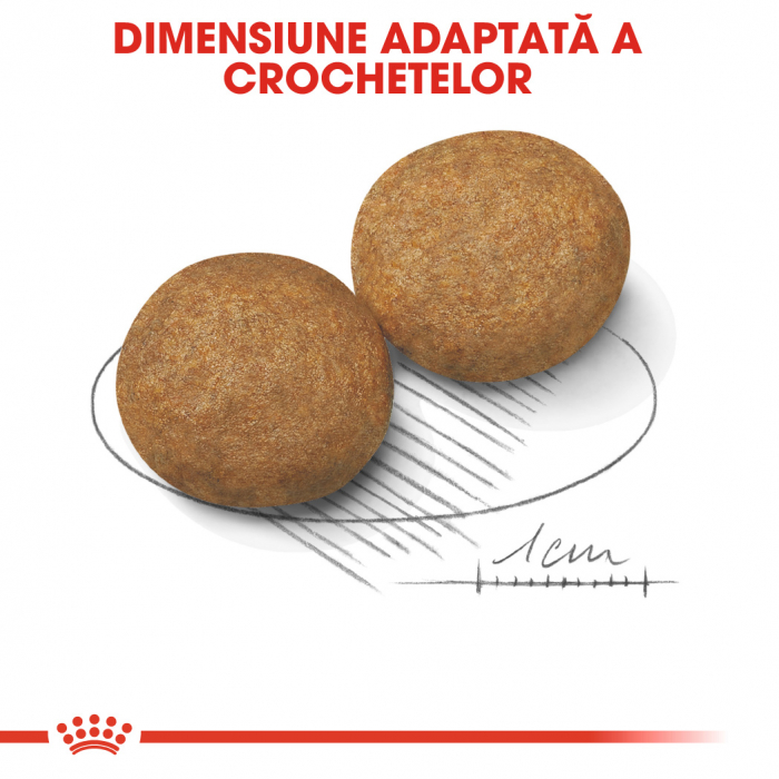 Royal Canin Medium Adult, hrană uscată câini,  15 kg [3]