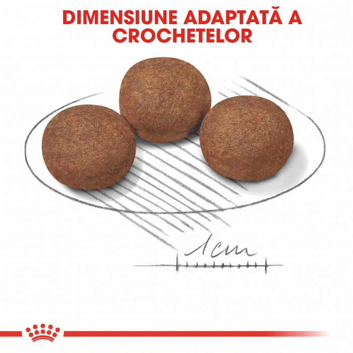 Royal Canin Medium Puppy, hrană uscată câini junior, 1 kg [3]