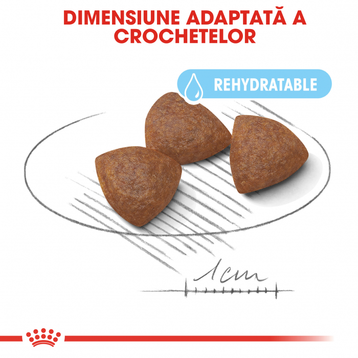 Royal Canin Medium Starter Mother & BabyDog, mama și puiul,  hrană uscată câini,4 kg [3]