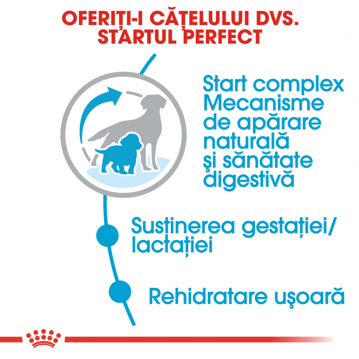 Royal Canin Medium Starter Mother & BabyDog, mama și puiul,  hrană uscată câini,4 kg [4]