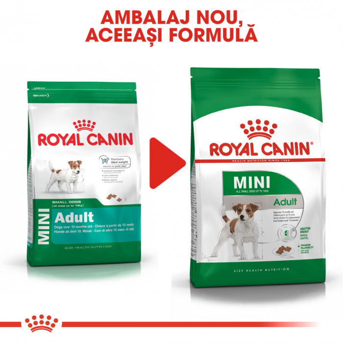 Royal Canin Mini Adult, hrană uscată câini,  2 kg [6]