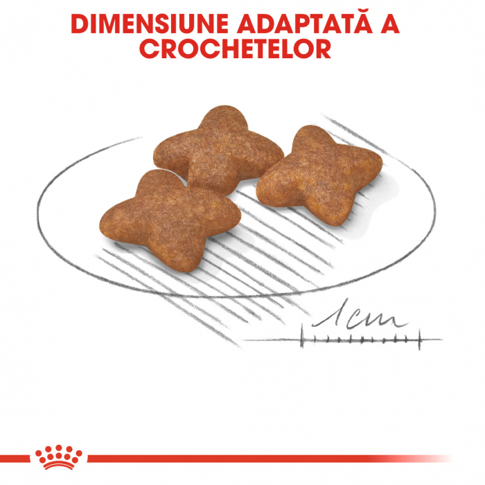 Royal Canin Mini Adult, hrană uscată câini,  4 kg [3]
