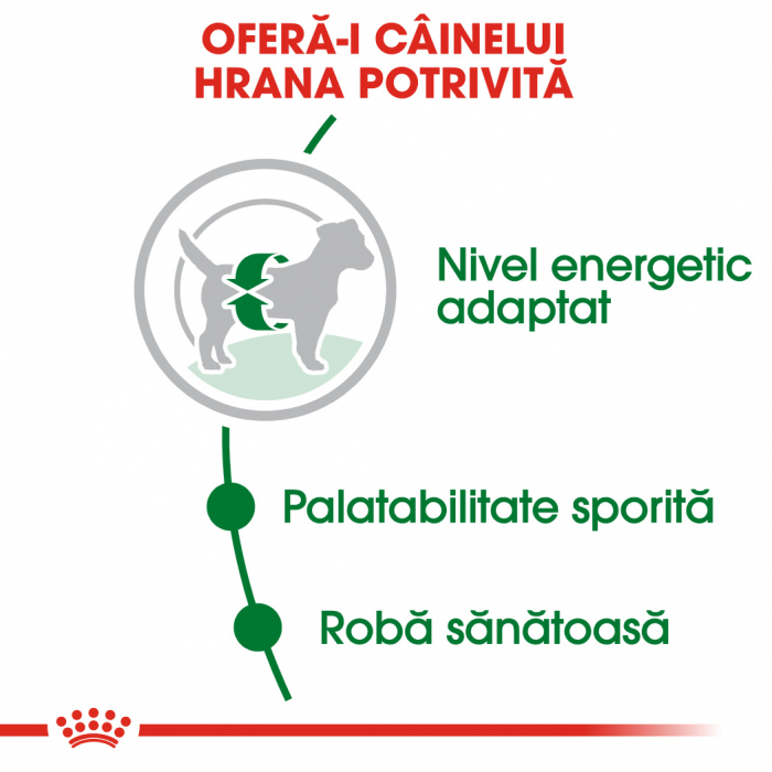 Royal Canin Mini Adult, hrană uscată câini,  8 kg [4]