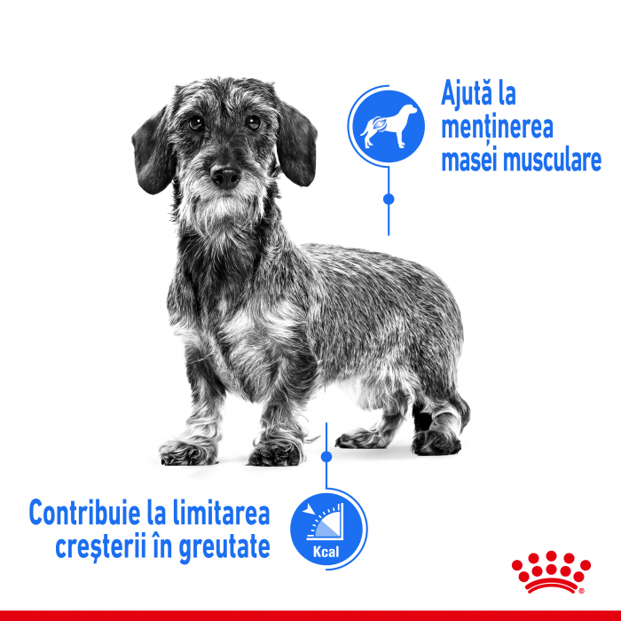 Royal Canin Mini Light Weight Care Adult, hrană uscată câini, managementul greutății, 8Kg [2]