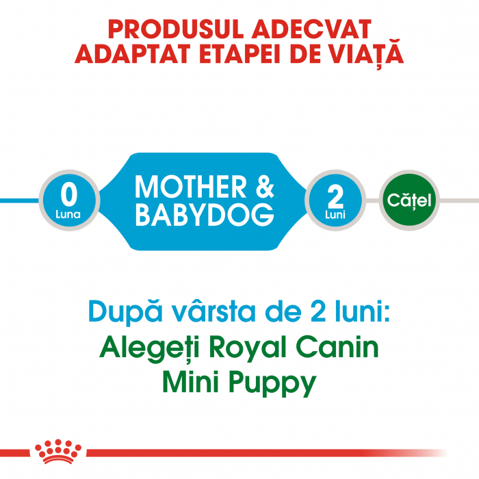 Royal Canin Mini Starter Mother & BabyDog, mama și puiul, hrană uscată câini 1 kg [2]