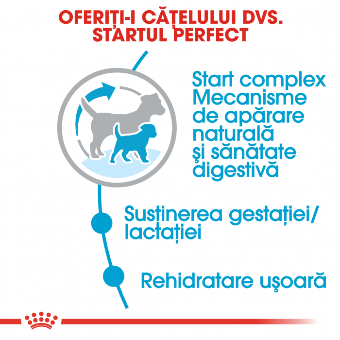 Royal Canin Mini Starter Mother & BabyDog, mama și puiul, hrană uscată câini 1 kg [4]