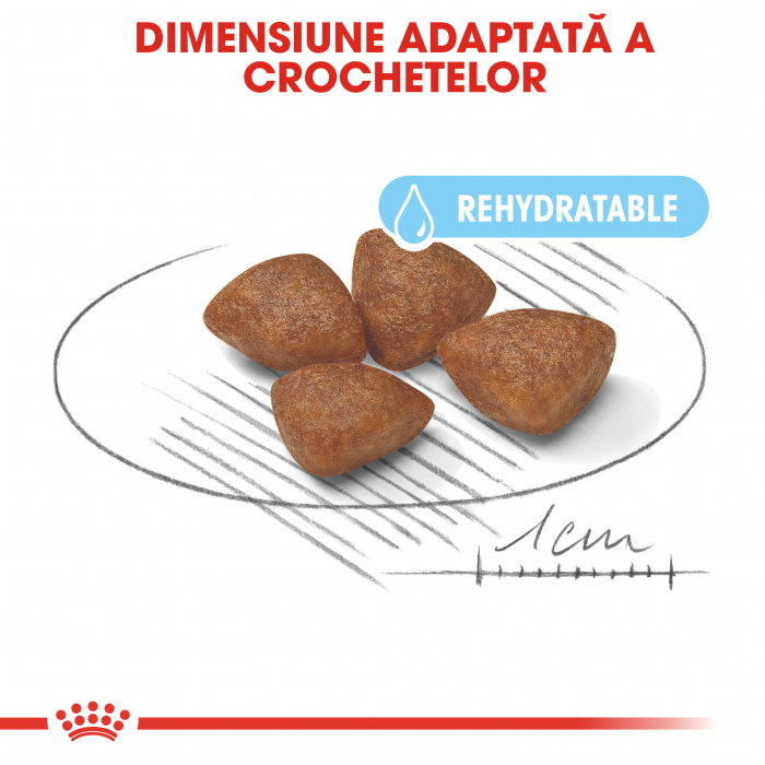 Royal Canin Mini Starter Mother & BabyDog, mama și puiul, hrană uscată câini 1 kg [3]