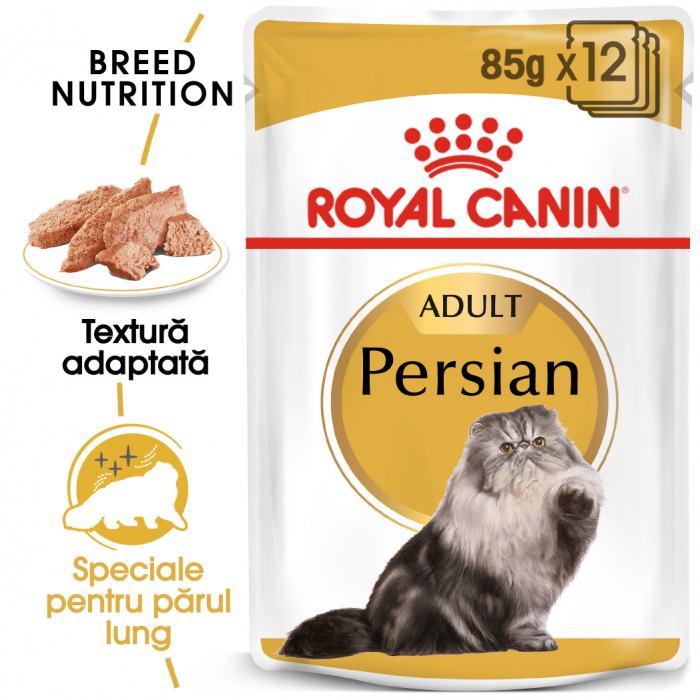 Royal Canin Persian Adult, plic hrană umedă pisici, (pate), 12 x 85 g [1]