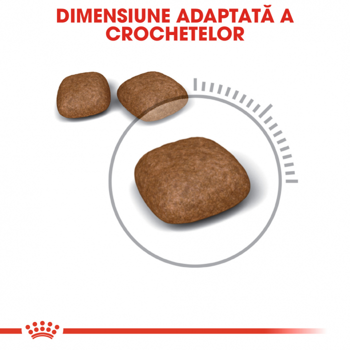 Royal Canin Urinary Care Adult, hrană uscată pisici, sănătatea tractului urinar, 10 kg [3]