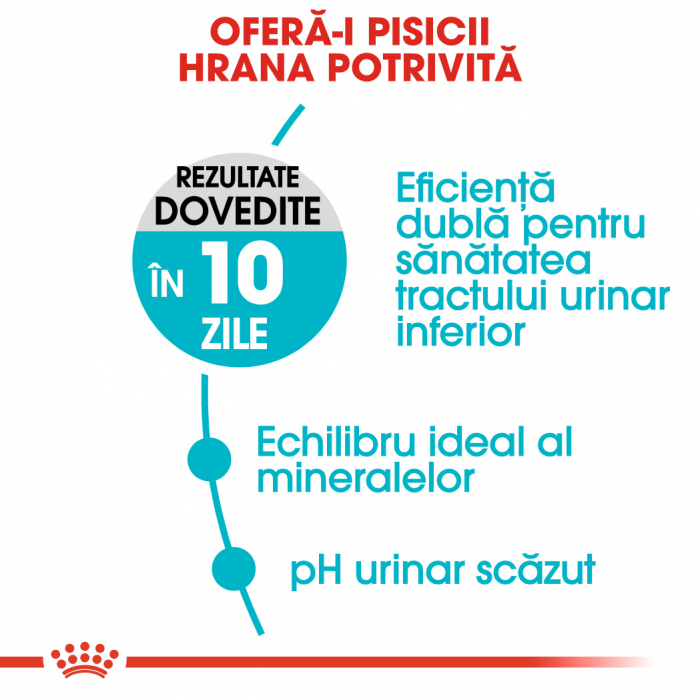 Royal Canin Urinary Care Adult, hrană uscată pisici, sănătatea tractului urinar, 4 kg [4]