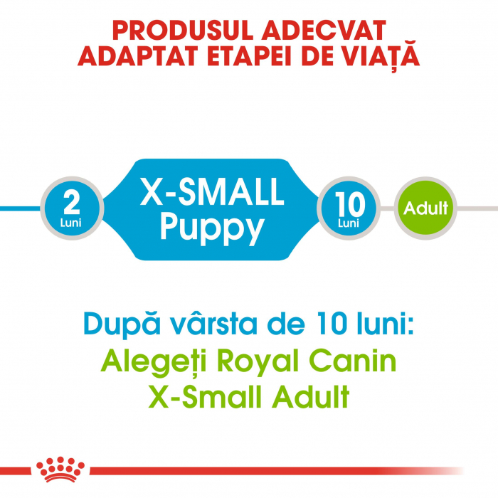 Royal Canin X-Small Puppy, hrană uscată câini junior, 500 g [2]