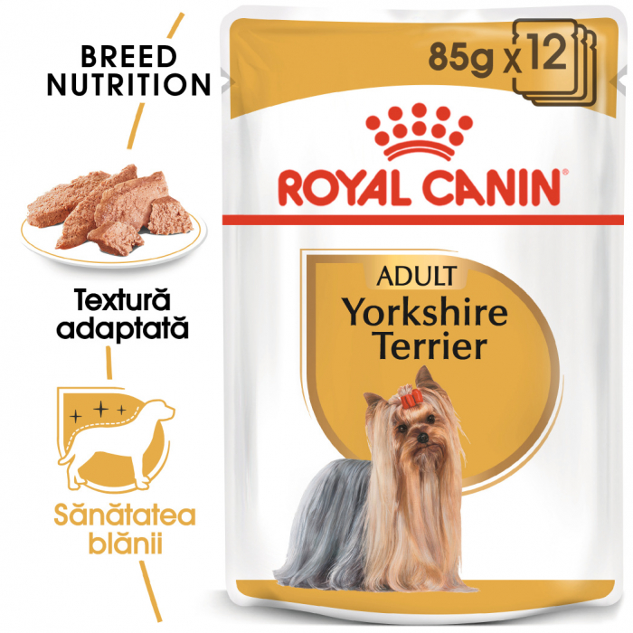 Royal Canin Yorkshire Terrier Adult, bax hrană umedă câini (pate), 12 x 85 g [1]