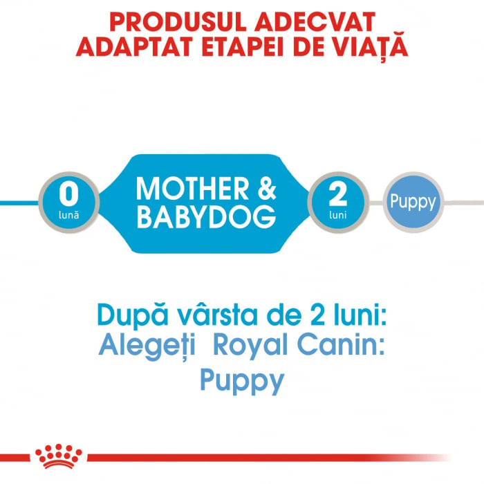 Royal Canin Starter, mama și puiul, conservă hrană umedă câini, (pate) 195 g [2]