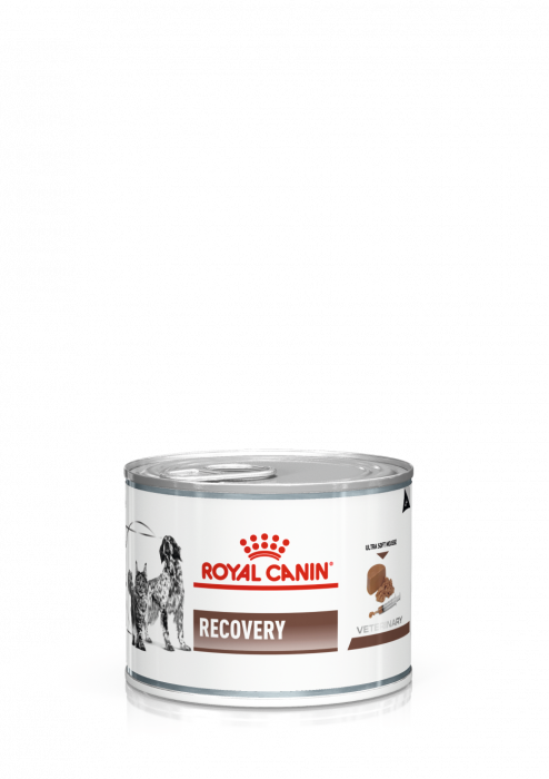 ROYAL CANIN Recovery Ultra Soft Cat/Dog Can 195g [1]