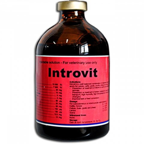 INTROVIT 100 ML INJECTABIL [1]