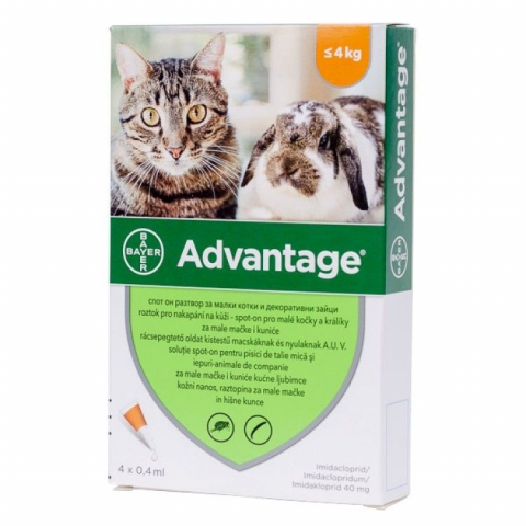 Pisici - Advantage 40 Cat/ Rabbit X 4 Pipete
