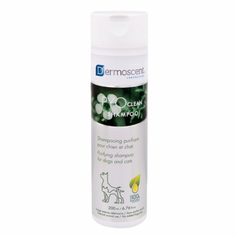 Pisici - Dermoscent Pyoclean Sampon Dogs & Cats, 200 ml