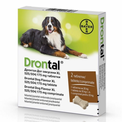Caini - Drontal Dog Flavour XL pentru caini de talie mare 2 comprimate/cutie
