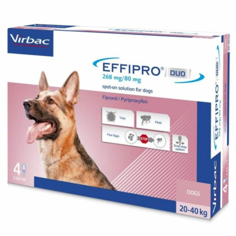 Caini - Effipro Duo Dog L 268 mg pipete antiparazitare caini talie mare (20 - 40 kg), 4 pipete