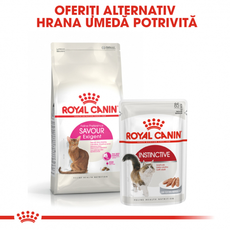 Royal Canin Exigent Savour Adult, hrană uscată pisici, apetit capricios 400 g [4]