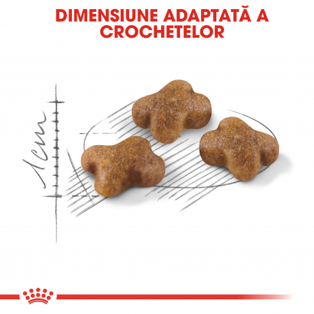Royal Canin Kitten, hrană uscată pisici junior, 2 kg [2]