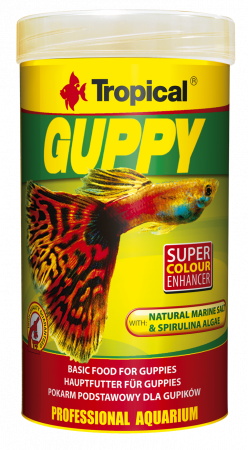 Pesti - GUPPY Tropical Fish, 100ml/ 20g