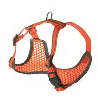 Caini - Ham FLUO nylon XL 48-60/51-72 cm