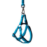 Caini - Ham Soft Style blue XL 2.5 cm