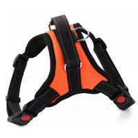 Caini - Ham-vesta XL gat-60-70 cm,piept 72-91 cm