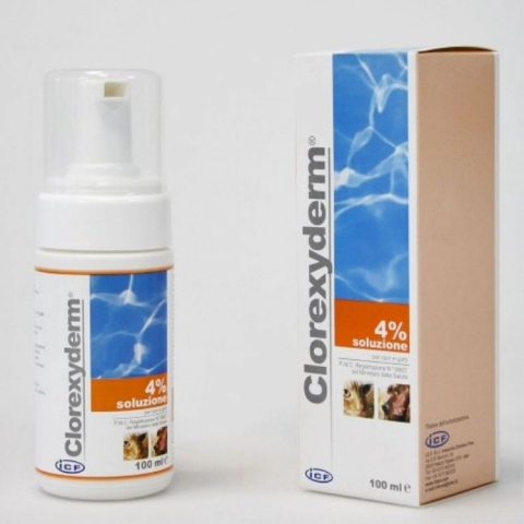 Caini - ICF CLOREXYDERM SPUMA 4%, 100 ml