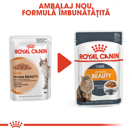 Royal Canin Intense Beauty Care Adult, plic hrană umedă pisici, piele și blană, (în sos), 12 x 85 g [1]