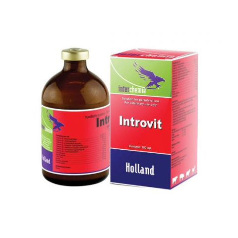 Ovine / Oi - INTROVIT 100 ML INJECTABIL