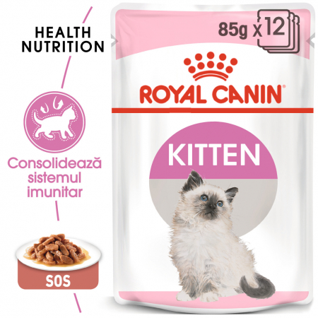 Royal Canin Kitten, bax hrană umedă pisici, (în sos), 12 x 85 g [0]
